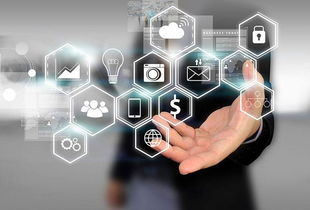 所志國軟文寫作案例 不靠廣告靠口碑，誠信服務成就電子商務新典范